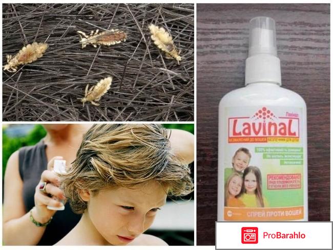 Лавинал отзывы 