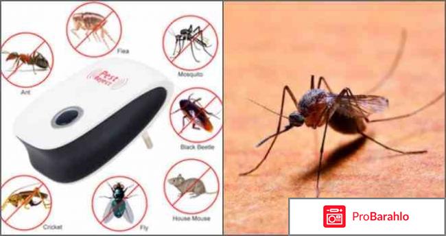 Insector - ультразвуковой отпугиватель комаров отрицательные отзывы