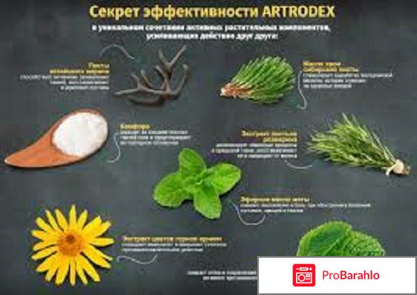 Artrodex крем купить в аптеке в спб обман