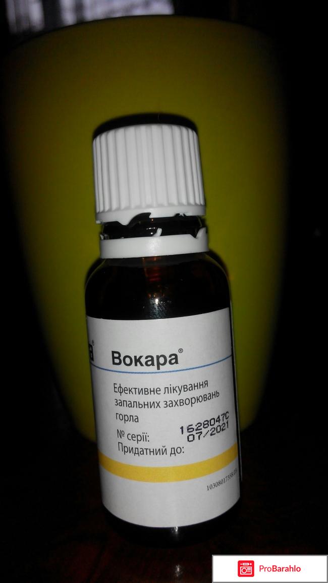 Vocara отзывы владельцев