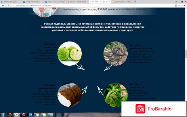 Отзывы о геле пантогор обман