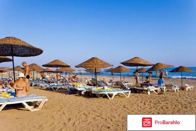 Ganita garden отрицательные отзывы