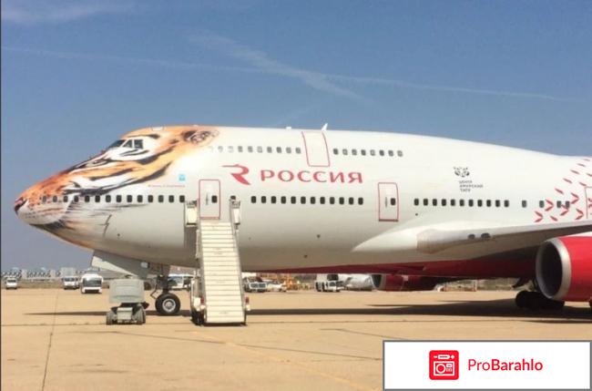Авиакомпания россия отзывы отрицательные отзывы