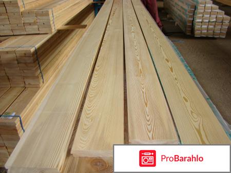 Компания СеверЛесГруп 