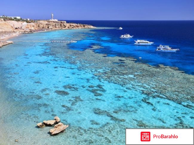 Шарм эль шейх отрицательные отзывы