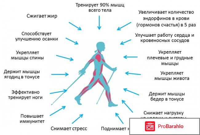 Ходьба для похудения: отзывы, скандинавская ходьба отзывы владельцев
