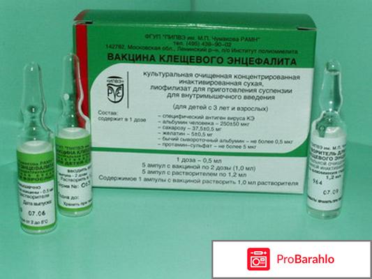 Прививка от энцефалитного клеща 