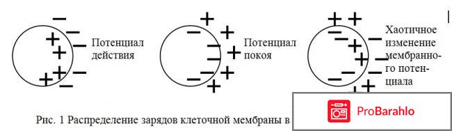 Препараты для повышения потенции у мужчин обман