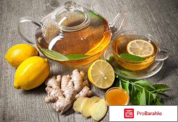 Зеленый чай из имбиря с лимоном и медом отрицательные отзывы