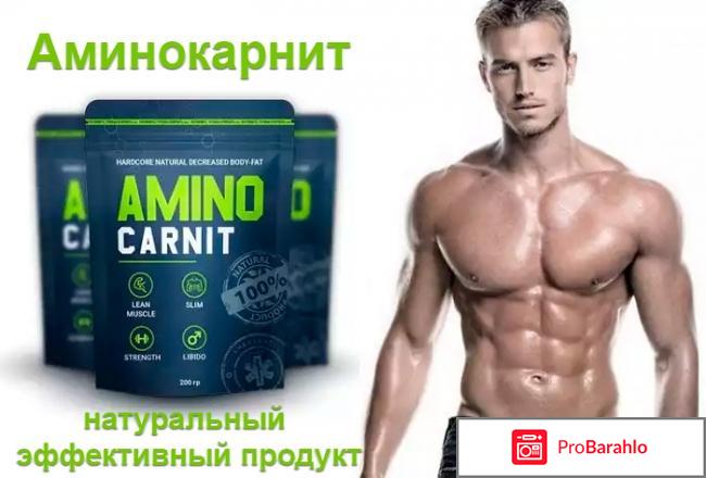 Аминокарнит официальный сайт 