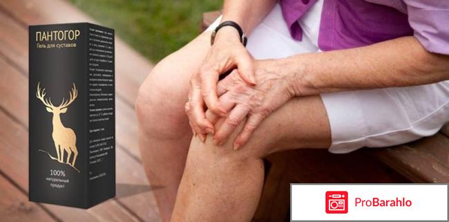 Пантогор гель для суставов состав отзывы 