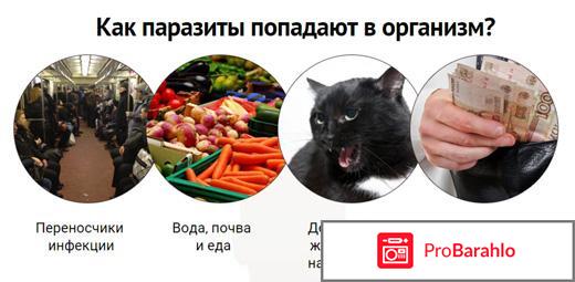 Интоксик лекарство от паразитов отрицательные отзывы