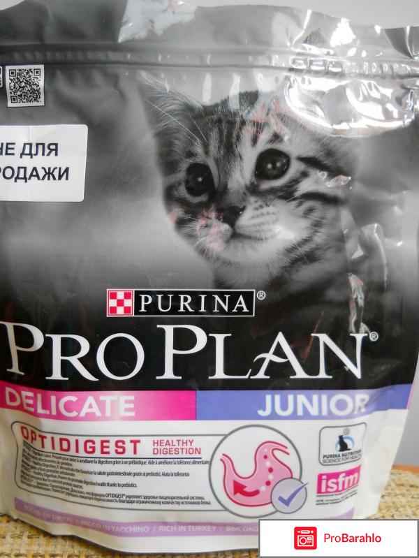 Pro plan для котят отзывы обман