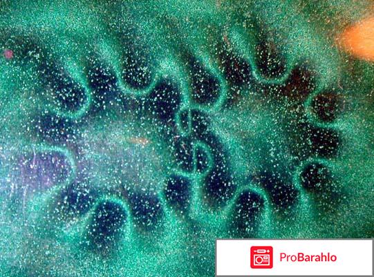 Жидкие кристаллы и их применение отрицательные отзывы