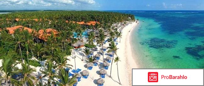 Отзывы whala bavaro отрицательные отзывы