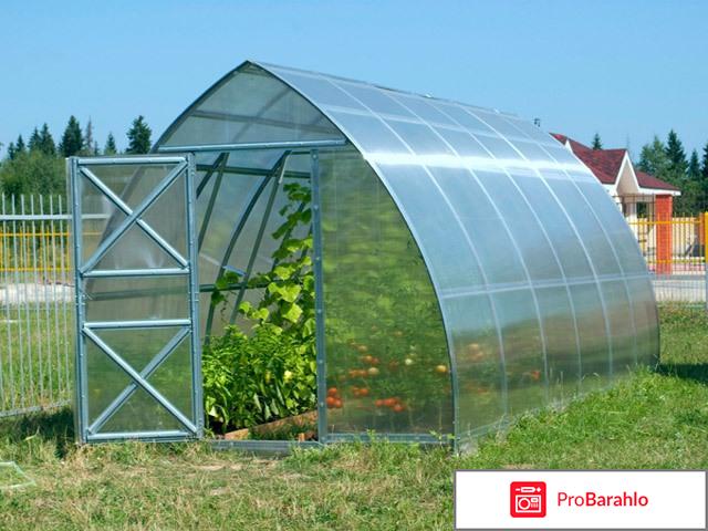 Парник из поликарбоната реальные отзывы