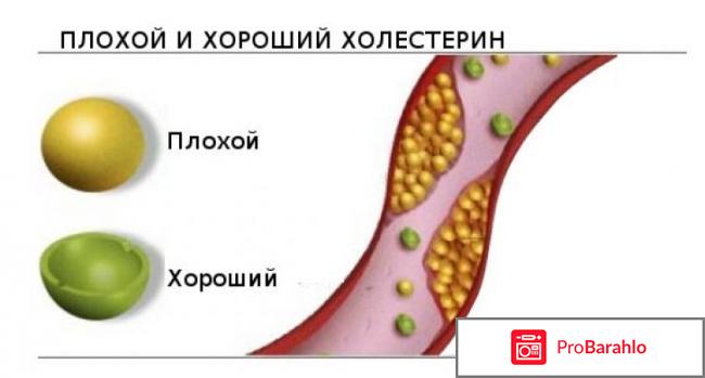 Фитомуцил холестенорм отрицательные отзывы