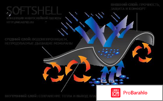 Софтшелл 