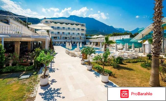 Отзыв ru отрицательные отзывы