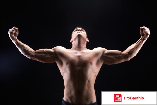 Irondeer A для мужской силы: цена, отзывы, купить отрицательные отзывы