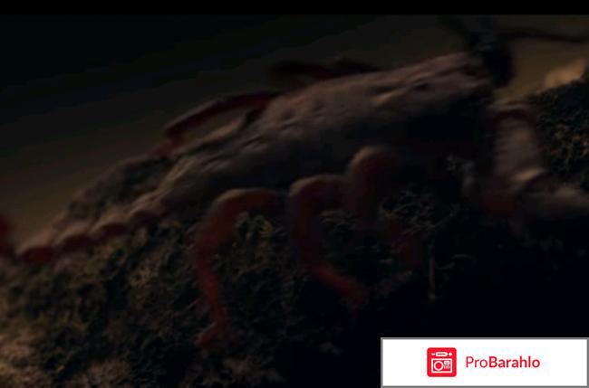 Джунгли фильм отзывы обман