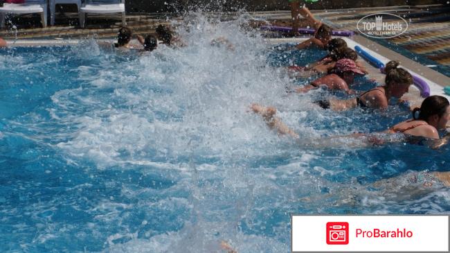 Ток судак отдыхающих 2017 фото