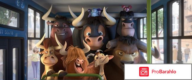 Фердинант отзывы 