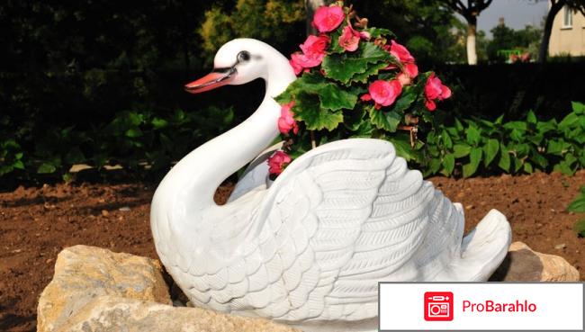 Пансионат лебедь евпатория официальный сайт отзывы 