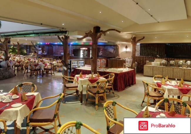 Joecons 3 отель гоа отзывы туристов отзывы владельцев