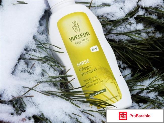 Шампунь веледа отзывы отрицательные отзывы