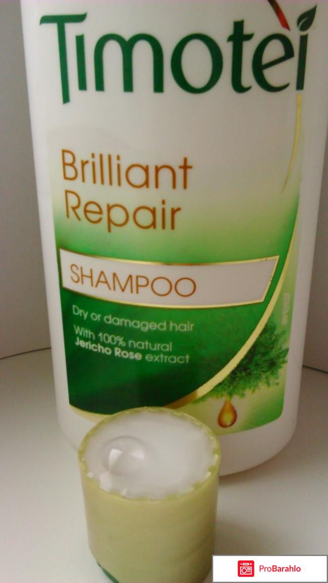 Timotei Brilliant Repair 