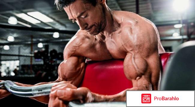 Ems-trainer отзывы реальных людей 