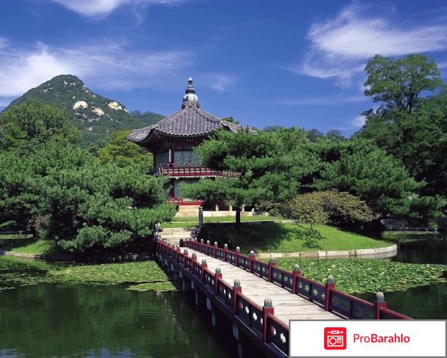 Отдых в южной корее 