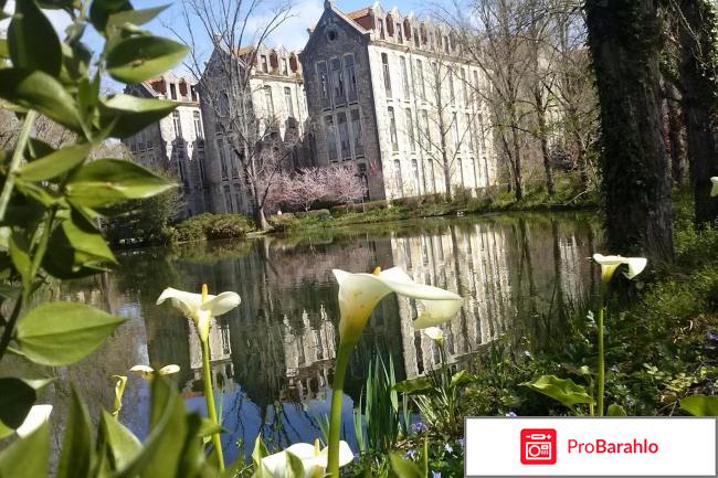 Отели португалии реальные отзывы