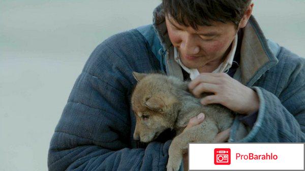 Тотем волка (2015) реальные отзывы