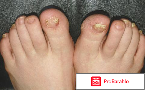 Орунгамин обман