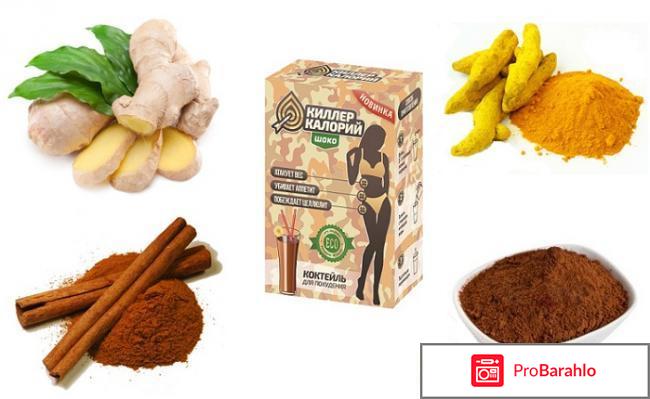 Киллер Калорий для похудения: цена, отзывы, купить 