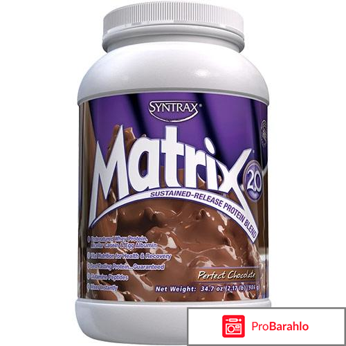 Спортивное питание протеин отзывы 