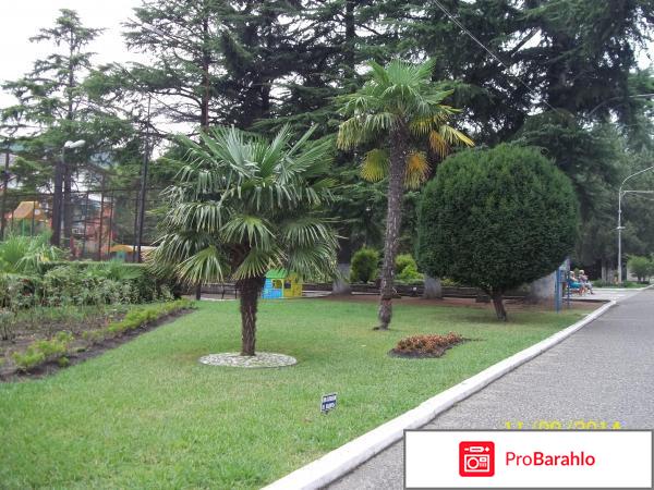 Тихий дон санаторий лазаревское официальный сайт обман