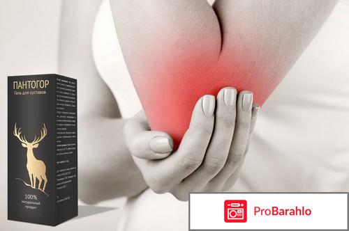 Пантогор что за лекарство отрицательные отзывы