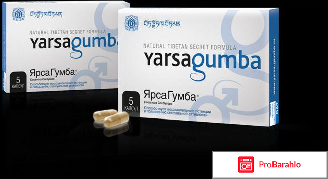 Ярсагумба купить 
