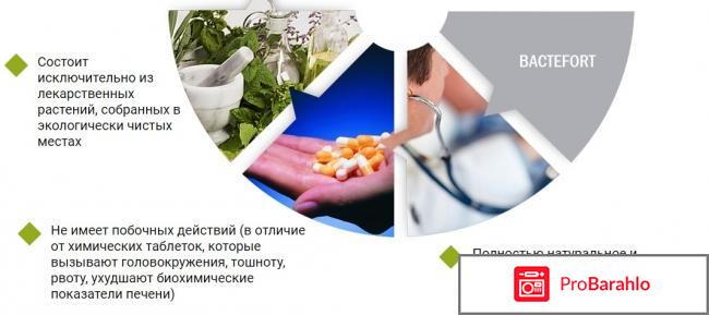 Bactefort цена 