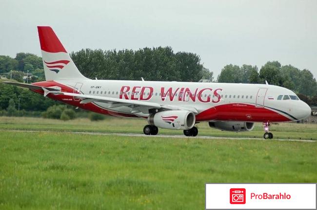 Отзывы red wings airlines 