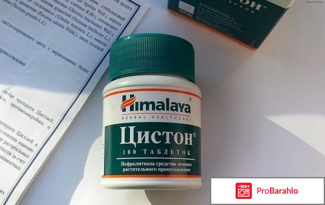 Цистон отзывы отрицательные обман