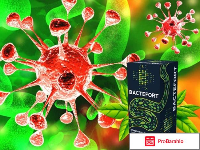 Bactefort развод отзывы владельцев