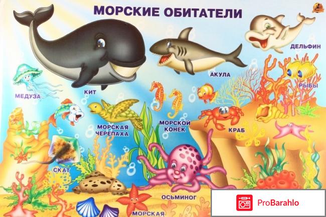 Книга  На море (+ наклейки) обман