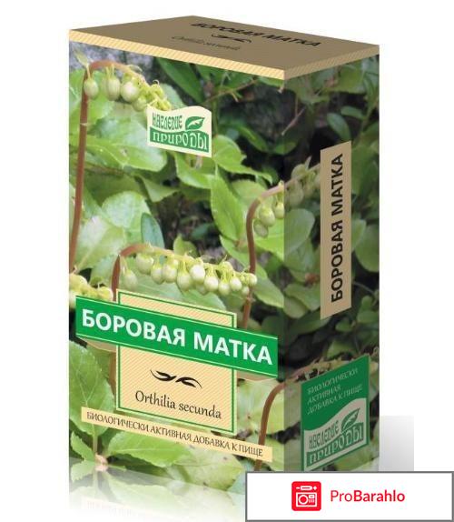 Боровая матка отзывы врачей гинекологов обман