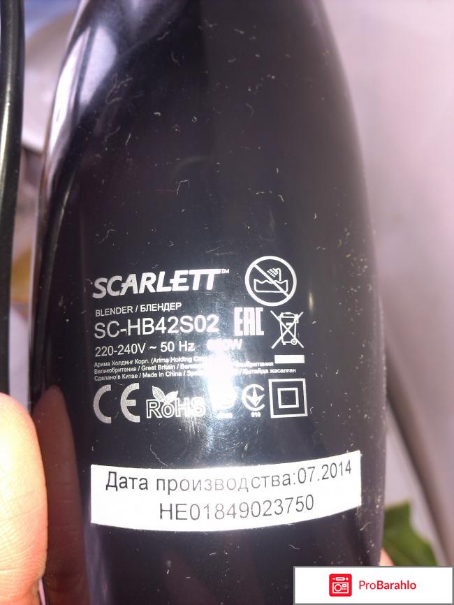 Блендер Scarlett SC-HB42S02 фото