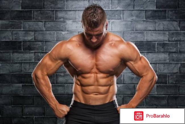 Рибоксин как принимать обман