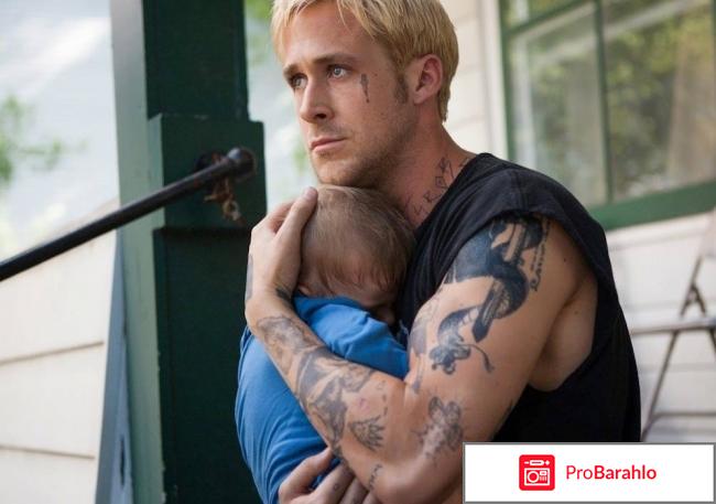 Место под соснами отзывы владельцев